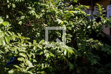 Casa de condomínio para alugar com 80m², 2 quartos e sem vagaQuarto de Serviço - Janela 