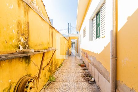 Casa para alugar com 90m², 3 quartos e 2 vagas Casa para alugar com 90m², 3 quartos e 2 vagasQuintal - Corredor