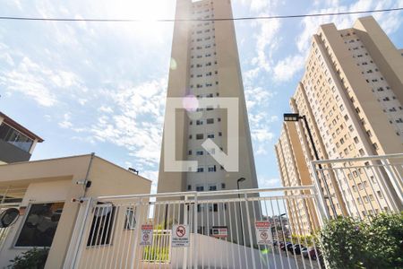 Apartamento para alugar com 39m², 2 quartos e sem vagaTorre