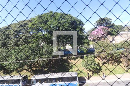 Janela Quarto 2  de apartamento para alugar com 2 quartos, 60m² em Vila Santa Maria, São Paulo