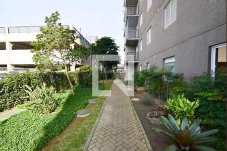 Área comum de apartamento à venda com 2 quartos, 60m² em Parque Edu Chaves, São Paulo