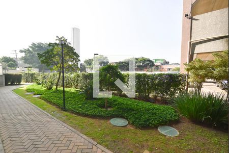 Área comum de apartamento à venda com 2 quartos, 60m² em Parque Edu Chaves, São Paulo