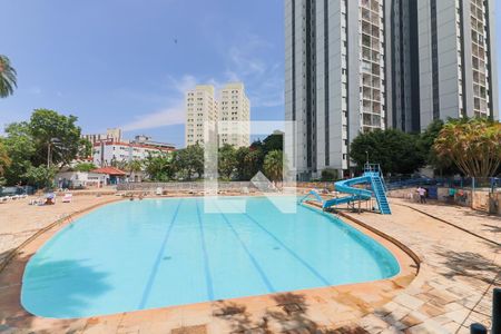 Apartamento para alugar com 69m², 3 quartos e sem vagaÁrea comum - Piscina