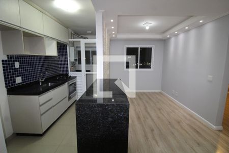Cozinha  de apartamento para alugar com 2 quartos, 45m² em Quinta da Paineira, São Paulo