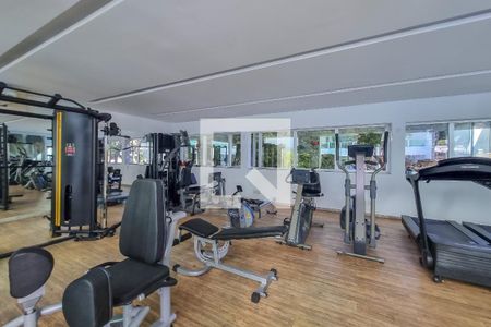 Apartamento para alugar com 70m², 2 quartos e 2 vagas Apartamento para alugar com 70m², 2 quartos e 2 vagasÁrea comum - Academia