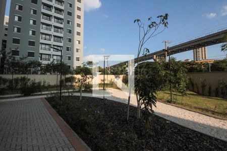 Studio para alugar com 32m², 1 quarto e sem vagapista de caminha