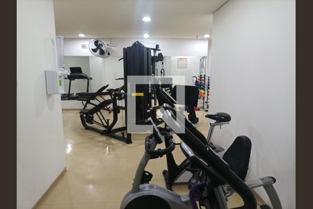 Apartamento para alugar com 54m², 2 quartos e 1 vagaÁrea comum - Academia