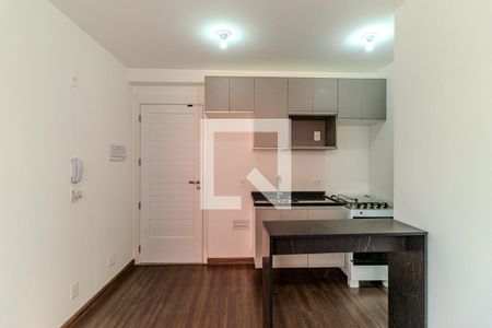 Apartamento para alugar com 24m², 1 quarto e sem vagaCozinha