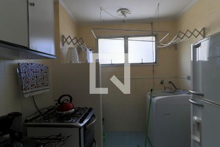 Cozinha de apartamento para alugar com 1 quarto, 47m² em Nova Piraju, São Paulo