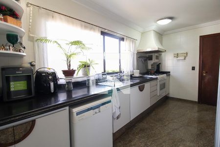 Apartamento para alugar com 242m², 5 quartos e 4 vagasCozinha