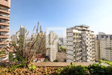 Apartamento para alugar com 242m², 5 quartos e 4 vagasVista da Cozinha