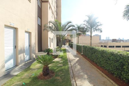 Área comum de apartamento à venda com 2 quartos, 45m² em Vila Independencia, São Paulo