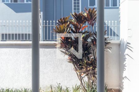 Casa à venda com 800m², 3 quartos e 10 vagasVista da Sala de TV