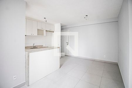 Sala de apartamento à venda com 2 quartos, 45m² em Cambuci, São Paulo