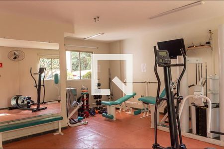 Apartamento para alugar com 64m², 3 quartos e 2 vagasÁrea comum - Academia 