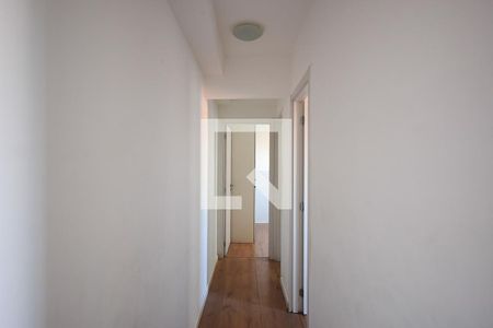 Corredor de apartamento para alugar com 2 quartos, 52m² em Jardim Parque Morumbi, São Paulo