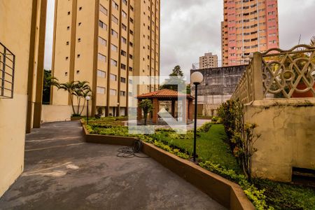 Apartamento para alugar com 65m², 2 quartos e 1 vaga Apartamento para alugar com 65m², 2 quartos e 1 vagaÁrea comum