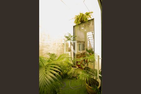 Jardim de inverno  de casa para alugar com 2 quartos, 100m² em Santa Teresa, Rio de Janeiro