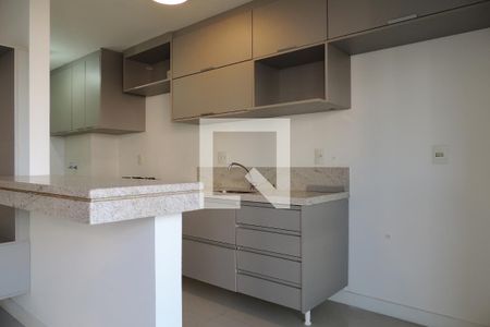 Apartamento para alugar com 78m², 2 quartos e 1 vagaCozinha - Armários