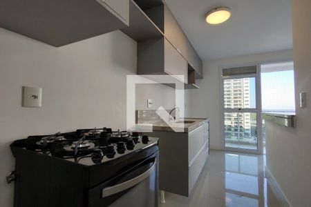 Apartamento para alugar com 78m², 2 quartos e 1 vagaCozinha - Armários