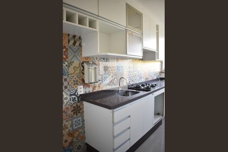 Apartamento para alugar com 47m², 2 quartos e 1 vagaCozinha - Armários