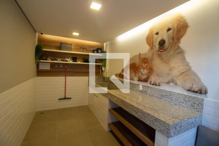 Studio para alugar com 27m², 1 quarto e sem vaga Studio para alugar com 27m², 1 quarto e sem vagaÁrea comum - Pet