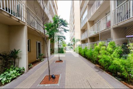 Área comum de apartamento para alugar com 1 quarto, 28m² em Vila Palmeiras, São Paulo