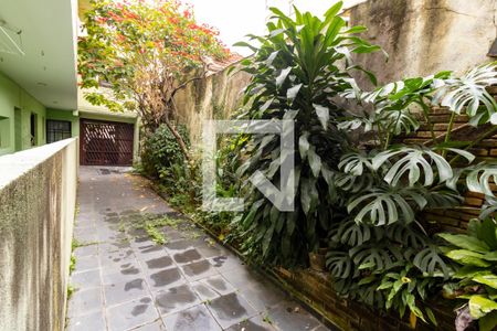 Casa à venda com 400m², 3 quartos e sem vagaQuintal