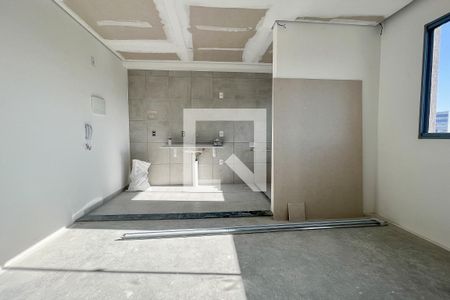 Sala de apartamento para alugar com 1 quarto, 30m² em Várzea da Barra Funda, São Paulo