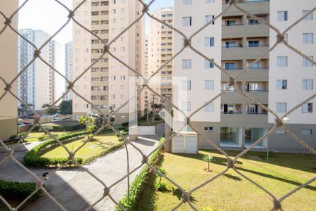 Apartamento à venda com 65m², 3 quartos e 1 vaga Apartamento à venda com 65m², 3 quartos e 1 vagaVista do Quarto 2