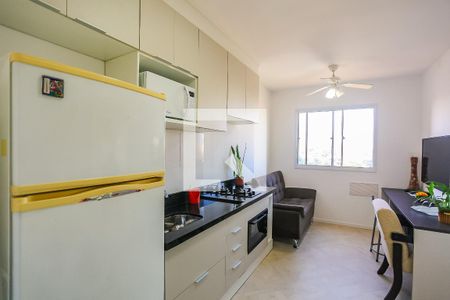 Cozinha de apartamento para alugar com 1 quarto, 24m² em Vila Nova das Belezas, São Paulo
