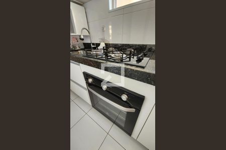 Apartamento para alugar com 50m², 2 quartos e 1 vagaDetalhe da cozinha