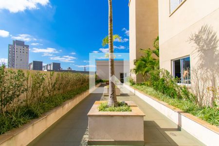 Apartamento para alugar com 47m², 2 quartos e 1 vaga Apartamento para alugar com 47m², 2 quartos e 1 vagaÁrea Comum