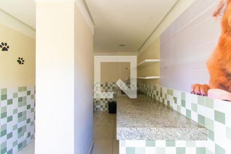 Apartamento para alugar com 47m², 2 quartos e 1 vaga Apartamento para alugar com 47m², 2 quartos e 1 vagaÁrea Comum - Pet Care