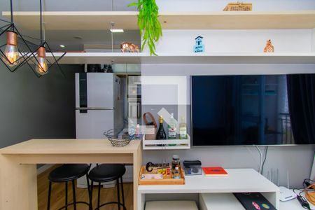 Sala de apartamento para alugar com 2 quartos, 47m² em Parque São Lourenço, São Paulo
