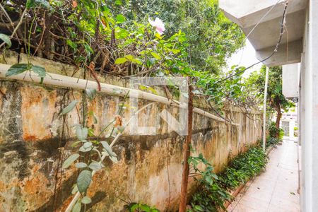 Casa para alugar com 40m², 1 quarto e sem vaga Casa para alugar com 40m², 1 quarto e sem vagaVista - Banheiro