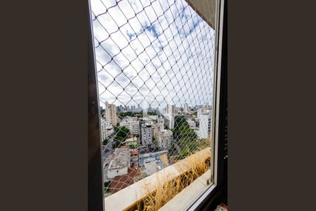 Vista de apartamento para alugar com 3 quartos, 73m² em Cidade Jardim, Belo Horizonte