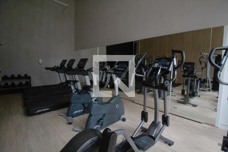 Apartamento à venda com 120m², 2 quartos e 1 vaga Apartamento à venda com 120m², 2 quartos e 1 vagaÁrea comum - Academia