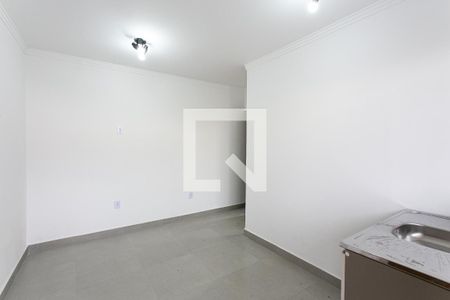 Sala e Cozinha de apartamento para alugar com 1 quarto, 30m² em Jardim Fernandes, São Paulo