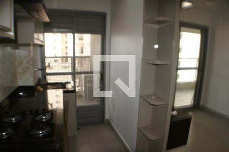 Cozinha de apartamento para alugar com 1 quarto, 50m² em Alto da Boa Vista, Ribeirão Preto