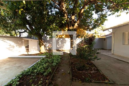 Casa para alugar com 200m², 4 quartos e 2 vagasQuintal