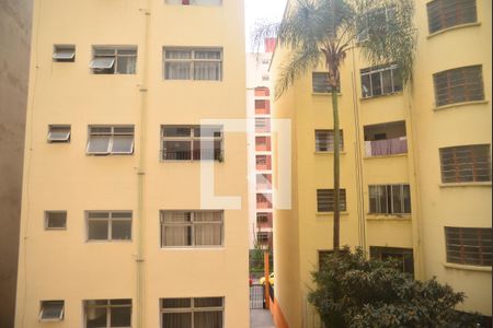 Apartamento para alugar com 40m², 1 quarto e 1 vagaVista da Varanda