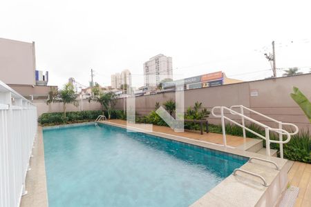 Área comum - Piscina de apartamento para alugar com 2 quartos, 56m² em Jardim Nossa Senhora Auxiliadora, Campinas