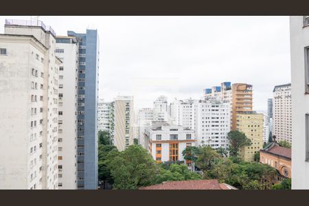 Vista de apartamento para alugar com 3 quartos, 249m² em Higienópolis, São Paulo