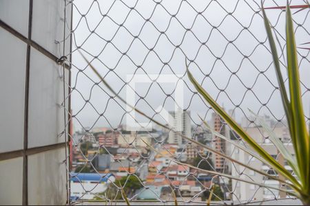 Apartamento para alugar com 250m², 4 quartos e 3 vagas Apartamento para alugar com 250m², 4 quartos e 3 vagasVista do Quarto Suíte