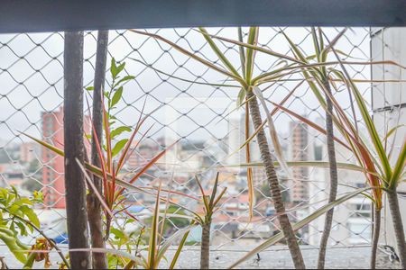 Apartamento para alugar com 250m², 4 quartos e 3 vagas Apartamento para alugar com 250m², 4 quartos e 3 vagasVista do Quarto 1