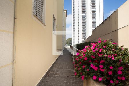 Apartamento para alugar com 45m², 2 quartos e 1 vagaÁrea comum