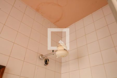 Casa para alugar com 269m², 3 quartos e 5 vagas Casa para alugar com 269m², 3 quartos e 5 vagasBanheiro do Terraço