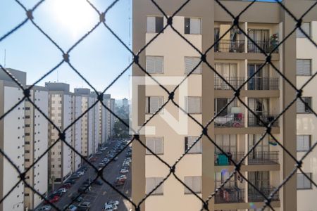 Apartamento para alugar com 61m², 2 quartos e 1 vaga Apartamento para alugar com 61m², 2 quartos e 1 vagaVista do Quarto 1