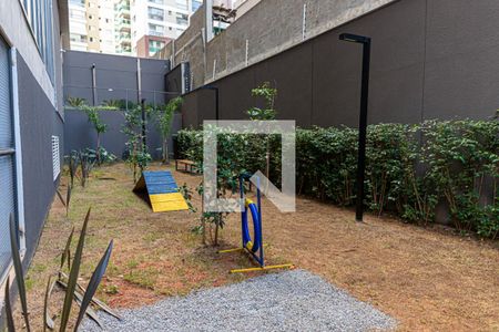 Studio para alugar com 25m², 1 quarto e sem vagaPet Place